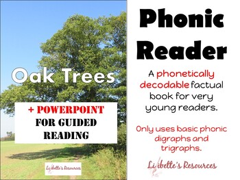 Preview of Oak Trees decodable easy reader for guided reading + PowerPoint