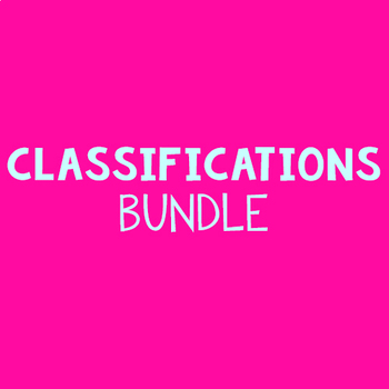 Preview of Object Classification BUNDLE