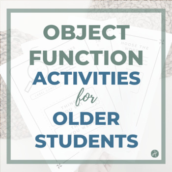 Preview of Object Function Word Retrieval/Vocabulary Activity 