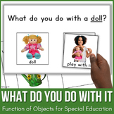 Object Function Speech Therapy Activity | What Do You Do With It