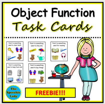 Preview of Object Function Task Cards