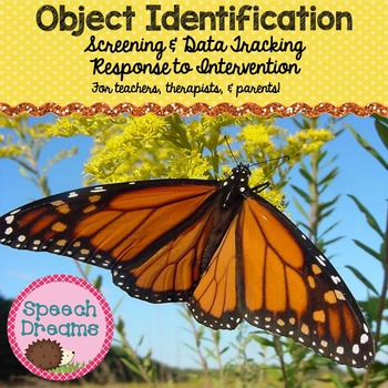 Preview of Object Identification Progress Monitoring and IEP goals: Autism