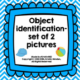 Object Identification-set of 2