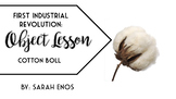 Object Lesson: First Industrial Revolution and the Cotton Boll