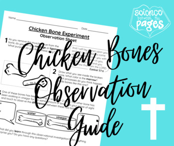Preview of Observation Guide for Exploring Muscles, Tendons, Bone, and Cartilage