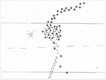 Preview of Observation, Inference and Conclusion Lab Middle School and High School