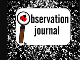 Observation Journal: (Raising Ladybugs)