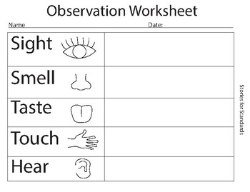 Preview of Observation Worksheet K-2