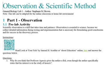 Preview of Observation and Scientific Method Lab