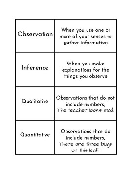 Preview of Observation vs. Inference Activity