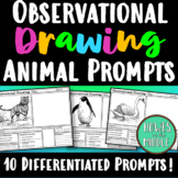 Observational Drawing Lesson Worksheet Pack - Animal Drawi