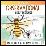 Observational Insect Drawing Worksheets, Middle School Art