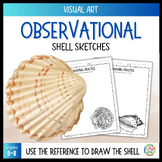 Observational Shell Drawing Worksheets, Middle School Art,