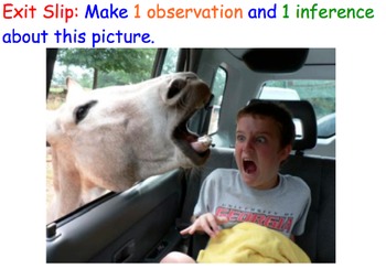 Preview of Observations & Inferences (Scientific Method) - Lesson Plan, Presentation, more