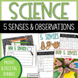 Five Senses Activities and Science Observations Worksheet 