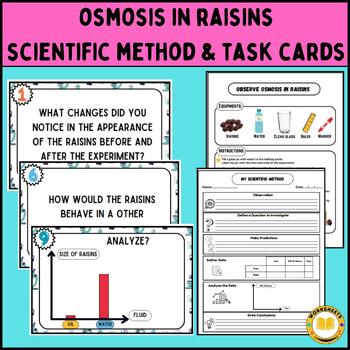 Preview of Observe osmosis in raisins experiment activities