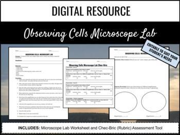 Preview of Observing Cells Microscope Lab