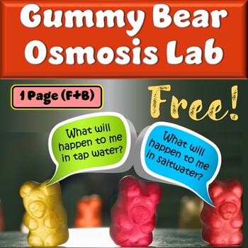 Science Gummy Bear Leggings, Laboratory, Nerdy Tights, Graduation Gifts,  Biology Lab, Cute, Chemistry, Scientist 