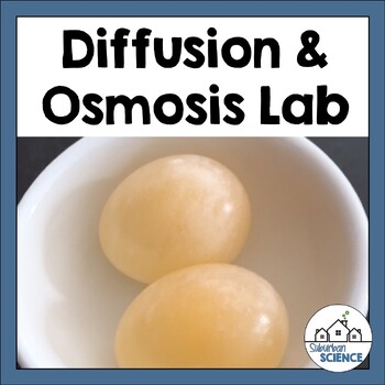 Preview of Diffusion and Osmosis Lab - Osmosis Egg Lab Experiment - Tonicity Lab
