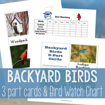 Preview of Montessori Birds Theme Preschool and Kindergarten Activities