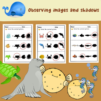 Preview of Science - Observing images and shadows.