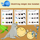 Science - Observing images and shadows.