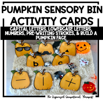 Preview of Occupational Therapy Fall Sensory Bin Cards Pre-writing Strokes