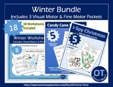 Occupational Therapy Winter Holiday Worksheet Bundle
