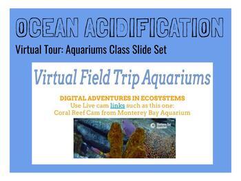 Preview of Ocean Acidification: Virtual Tour of Aquariums