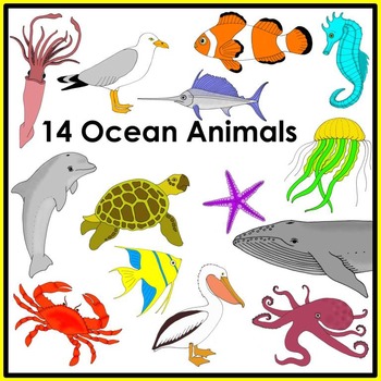Ocean Animal Clip Art by Elizabeth McCarter | Teachers Pay Teachers