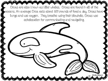 Download Ocean Animal Coloring and Fact Book by The Hall of Faehn | TpT