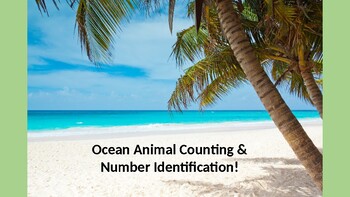 Preview of Ocean Animal Counting, Number Identification, & More/Less/Most!