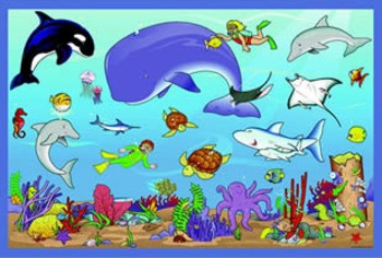 Preview of Ocean Animal Facts