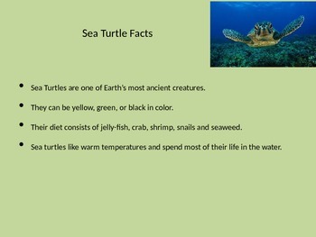 Sea Animals, Facts & Types - Video & Lesson Transcript