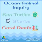 Ocean Animal Inquiry