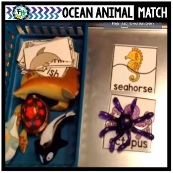 Preview of Ocean Animal Match Up Activity