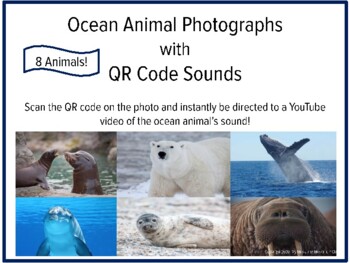 Preview of Ocean Animal Photographs with Sounds and QR Codes, Active Listening