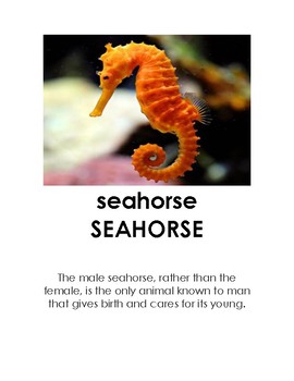 Ocean Animal Pictures With Fun Facts For Kids by Preschool Lover