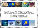 Ocean Animal Posters