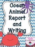Ocean Animal Research Report and Writing