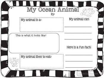 Preview of Ocean Animal Report