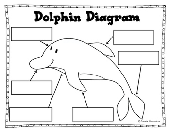 Ocean Animal Reports- Informational Non-Fiction Report Writing | TpT