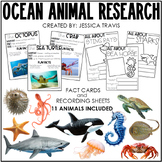 Ocean Animal Research (K-1)