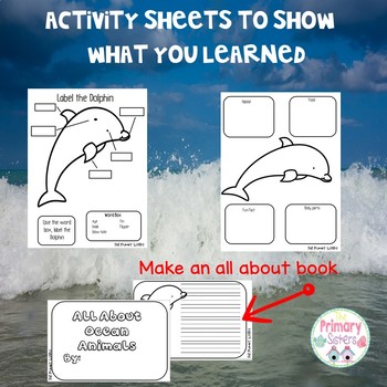 Ocean Animal Research Project with QR codes by The Primary Sisters