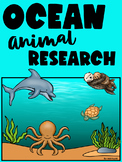 Ocean Animal Research Project