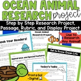 Ocean Animal Research Project Report Fun End of the Year W
