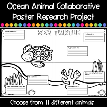 Preview of Ocean Animal Research Project Posters 