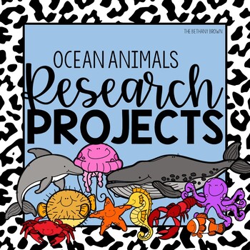 Preview of Ocean Animal Research Projects