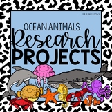 Ocean Animal Research Projects