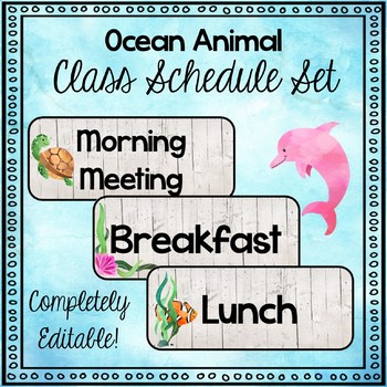 Preview of Ocean Animal Theme Class Schedule Cards- Editable!